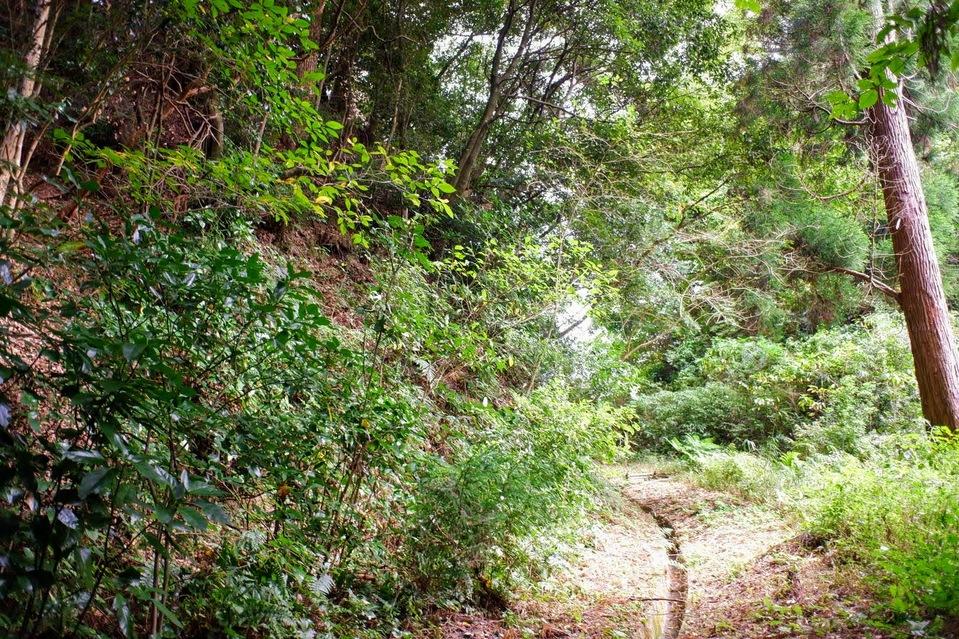 栗野城