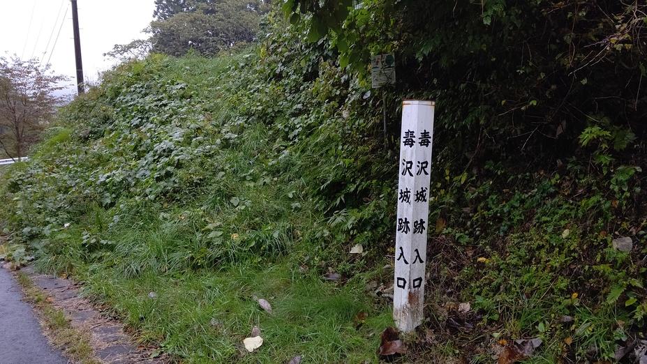 毒沢城