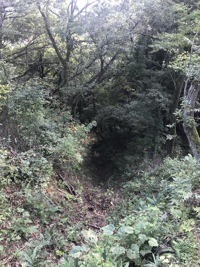 鮫ヶ尾城