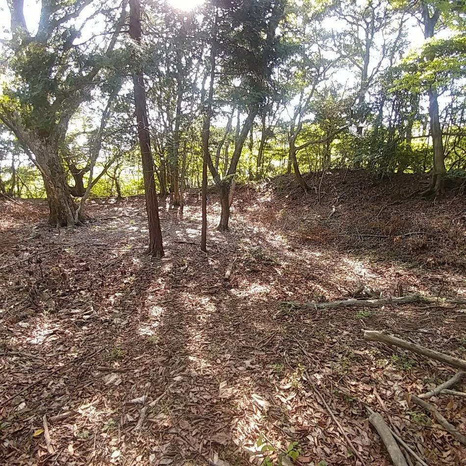 勝山城