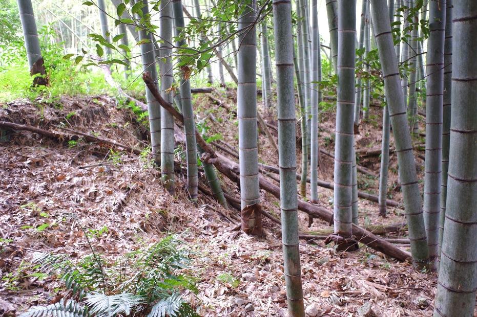 郡山城