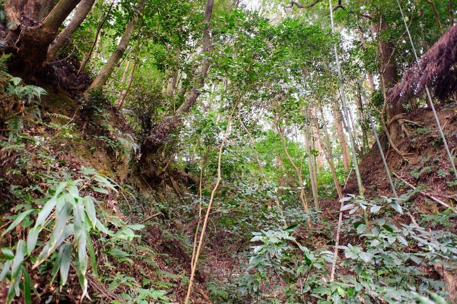 小山田城