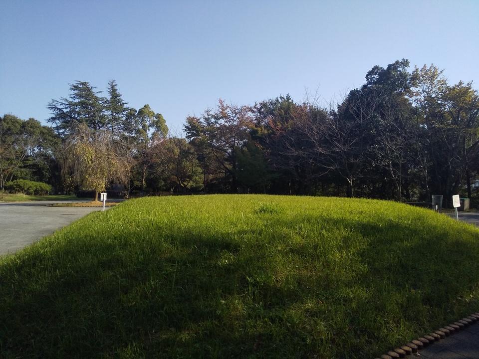 猿岡山城