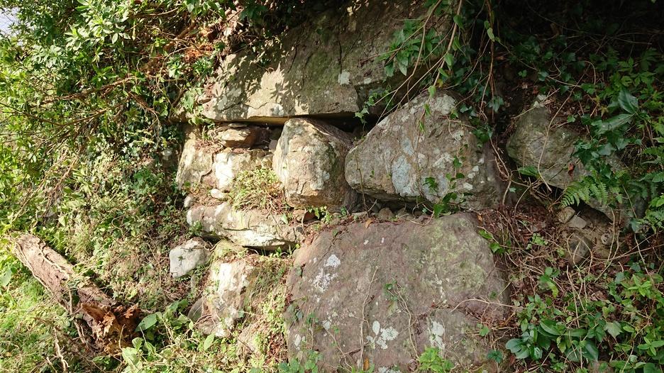 小丸城