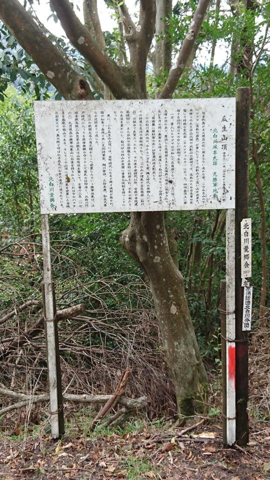 将軍山城
