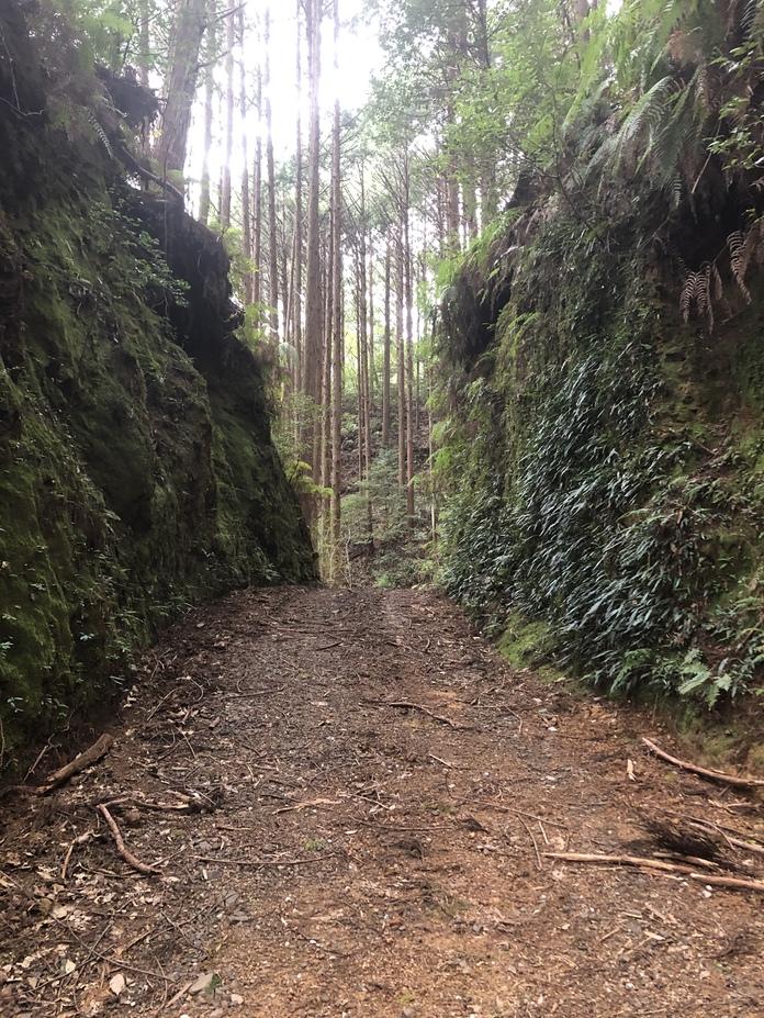 東川別役城