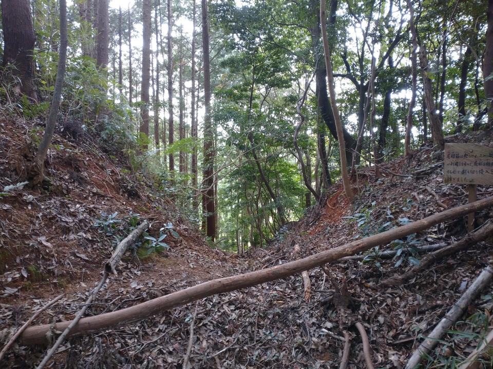 馬ヶ岳城