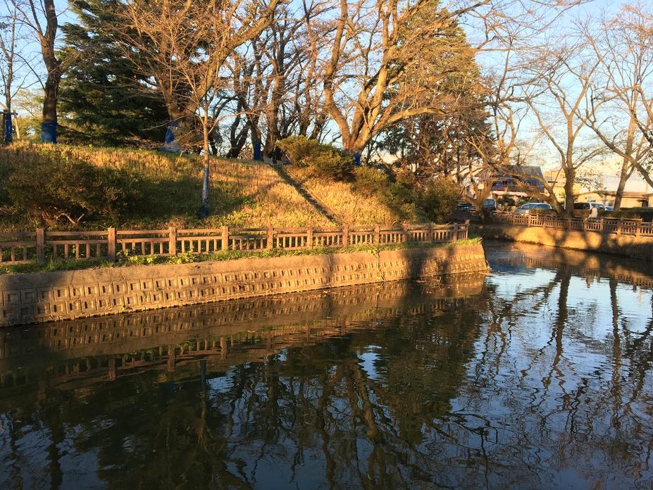 小泉城