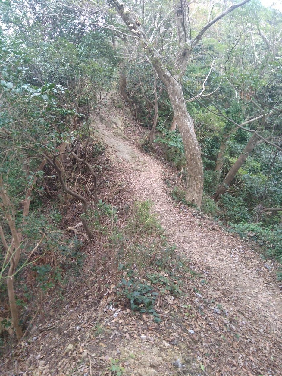 高麗山城