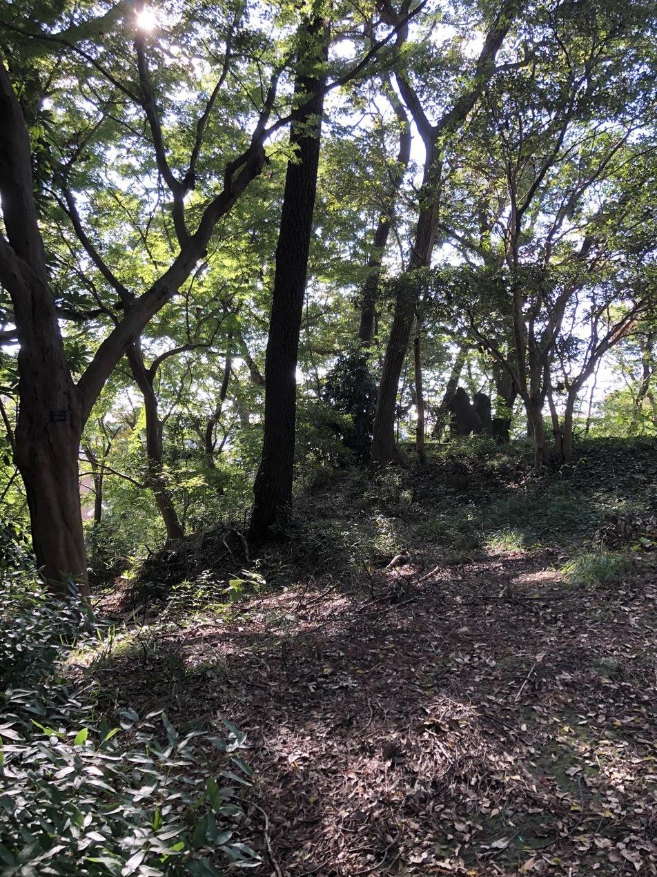 松戸城