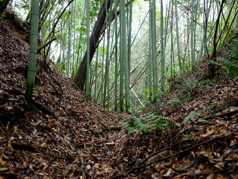端谷城