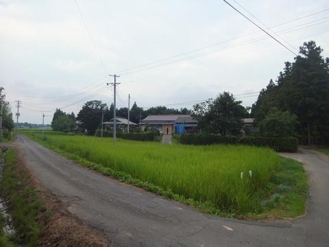 名生城