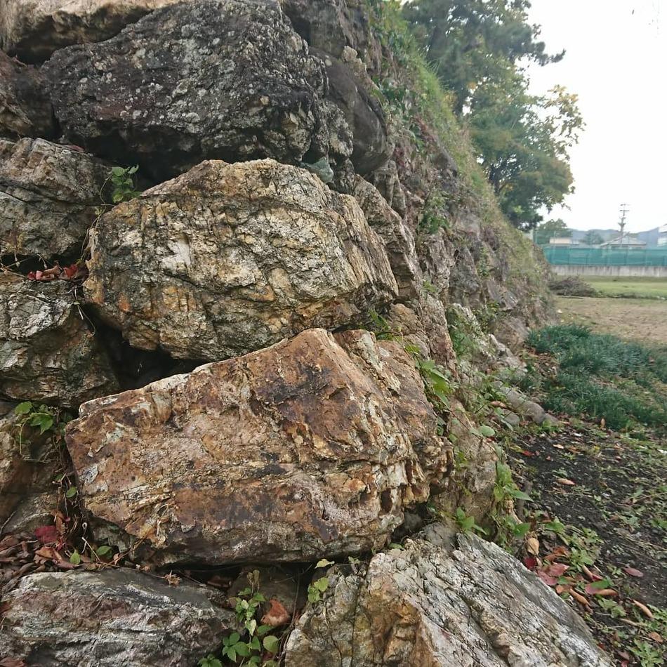 加納城