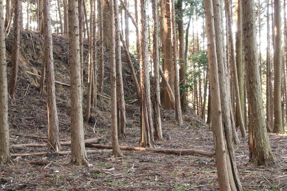 野間城