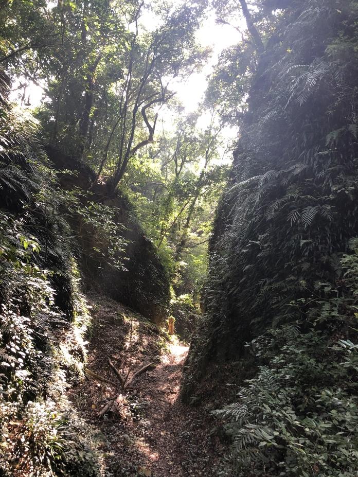 志布志城
