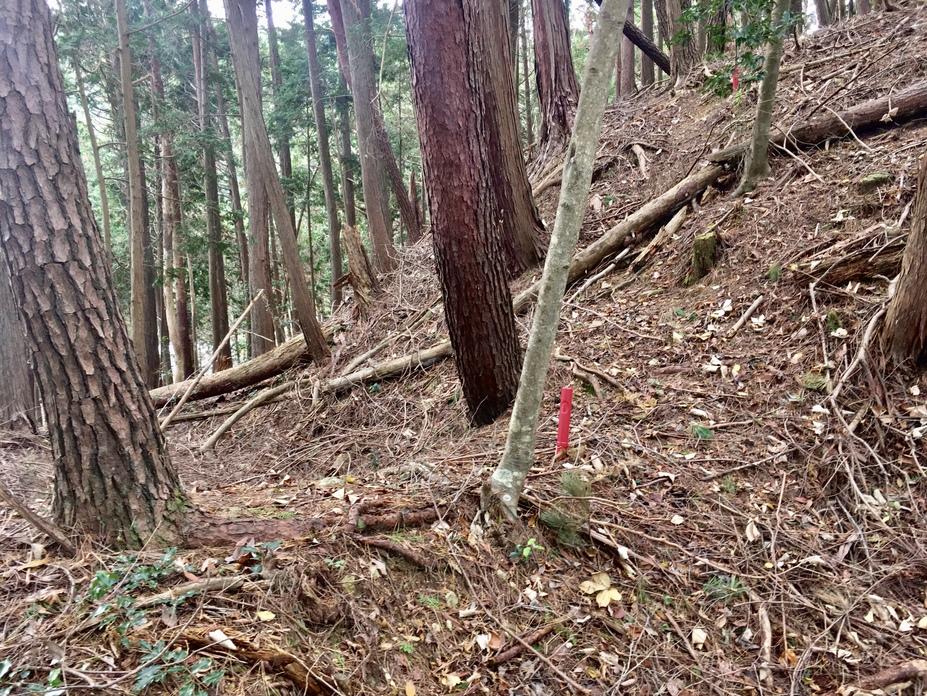 高山城