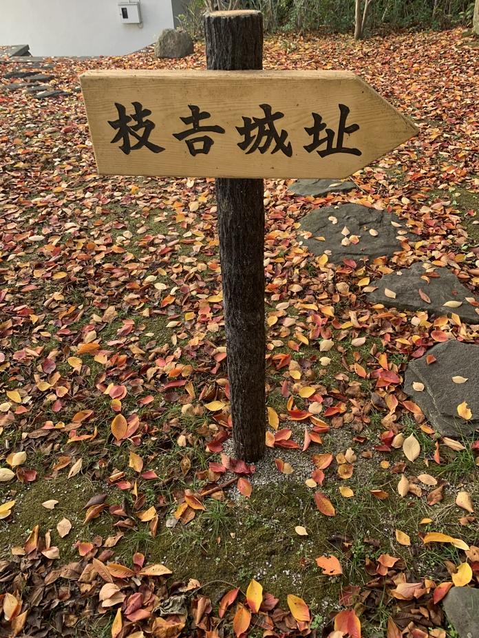 枝吉城