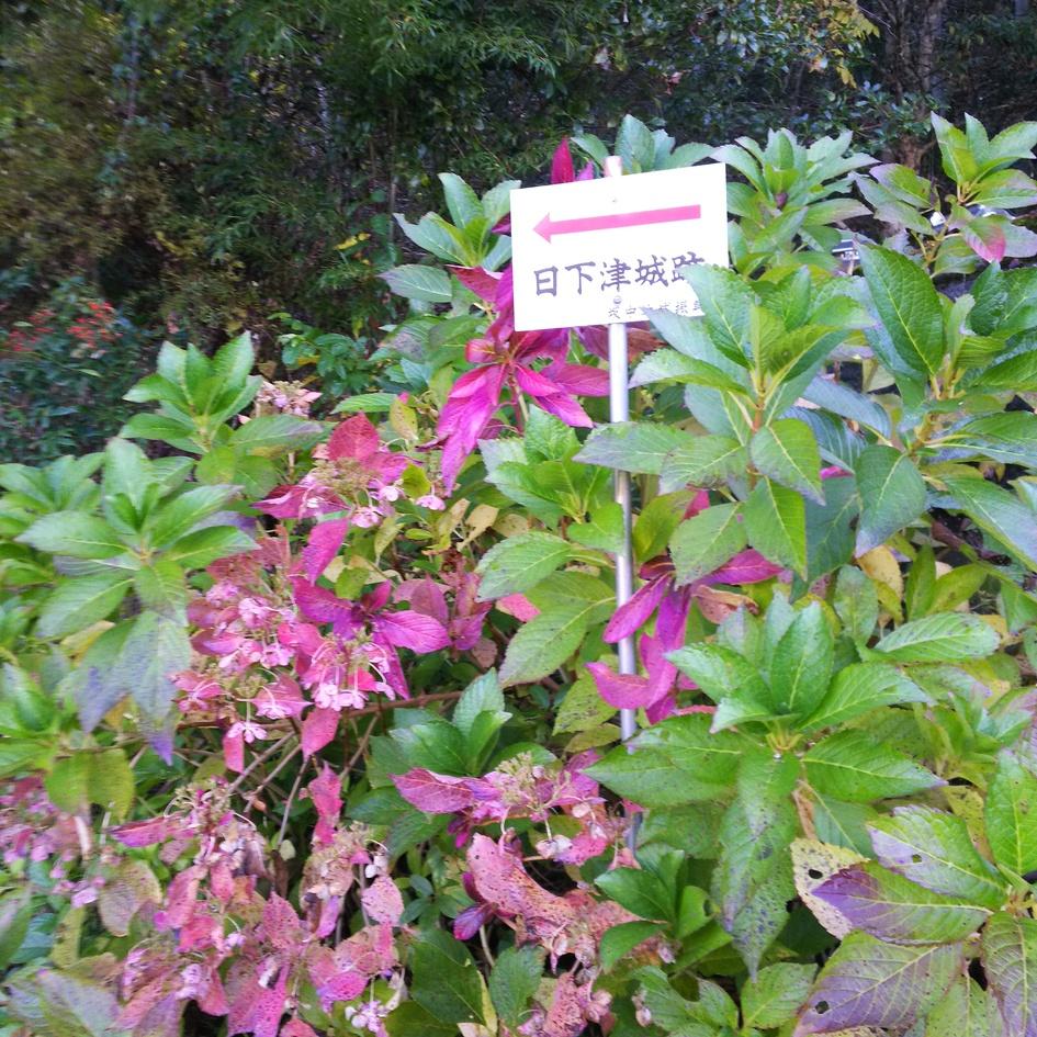 日下津城