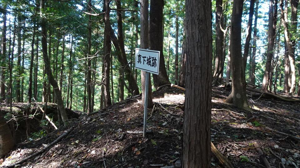 真下城