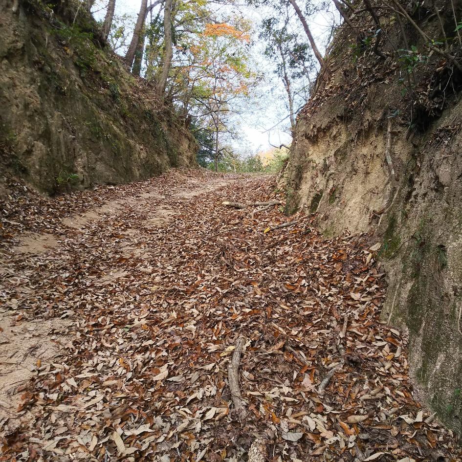 鬼身城