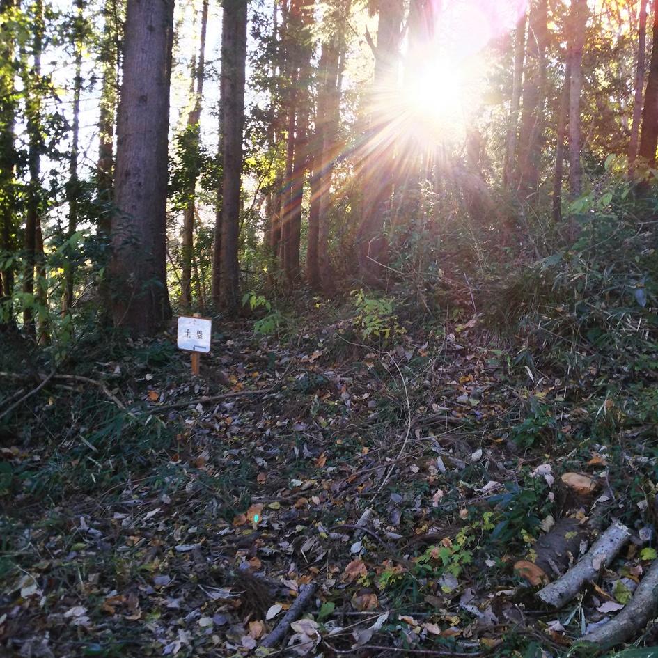 松井田城