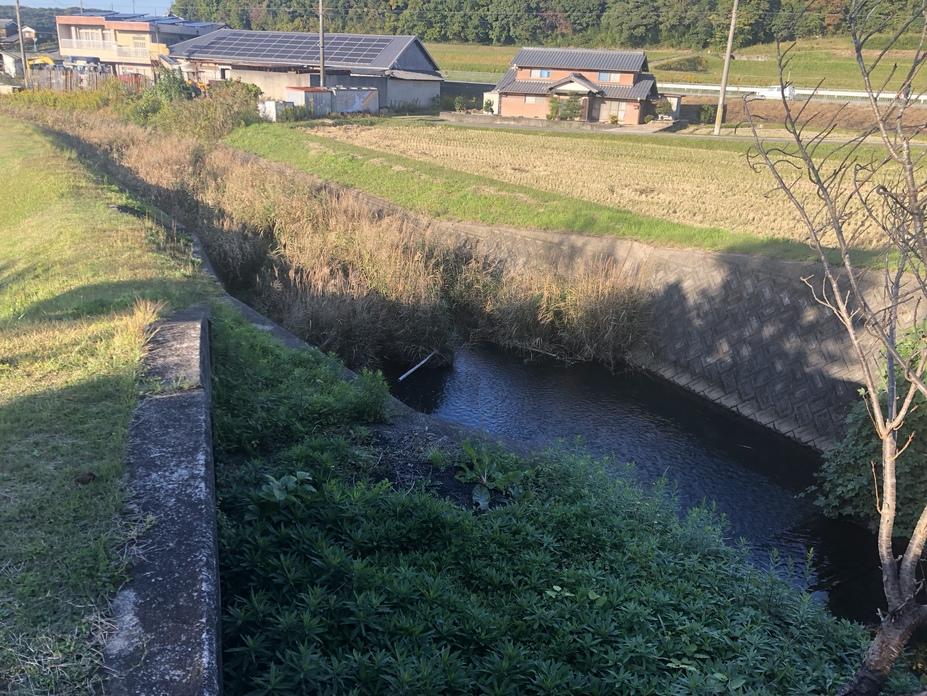 豊地城