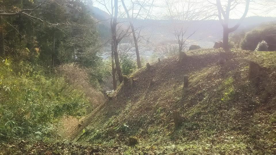 三芦城