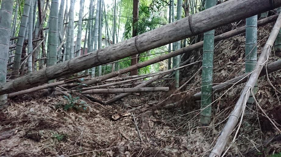 犬成城
