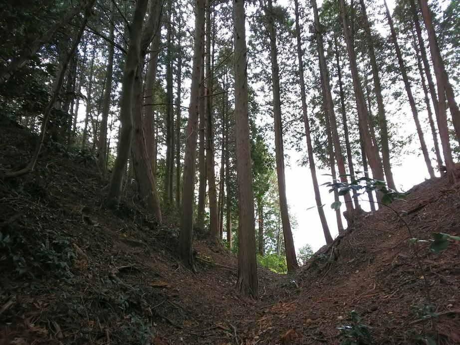 根本城