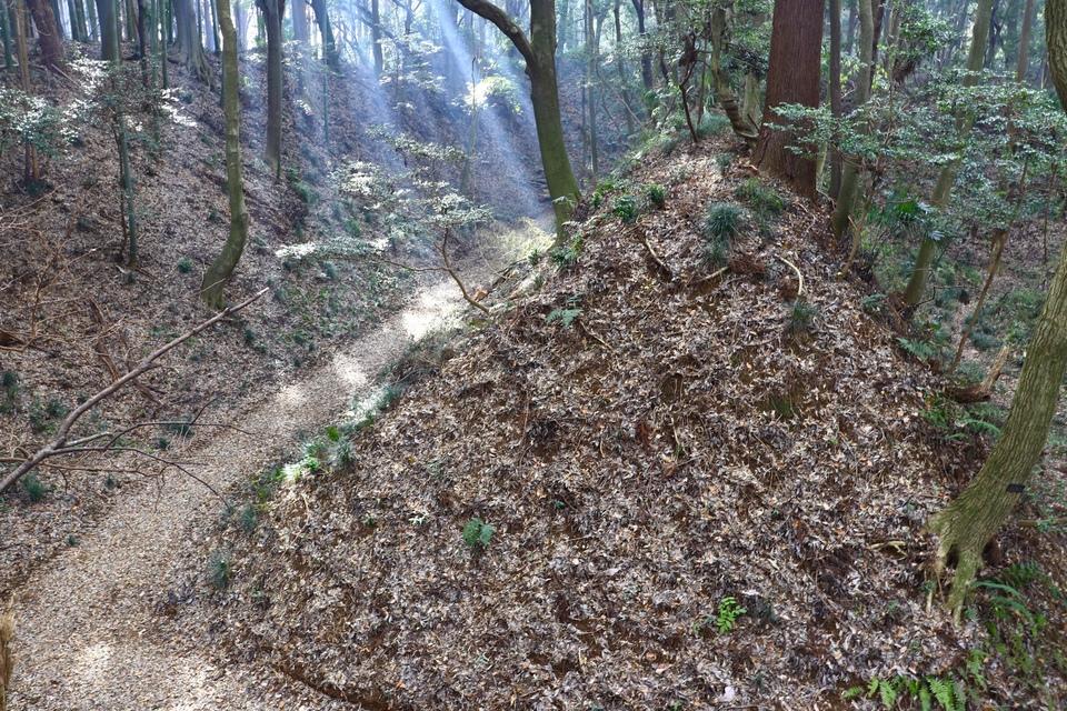 小幡城