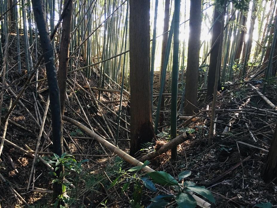 中居城
