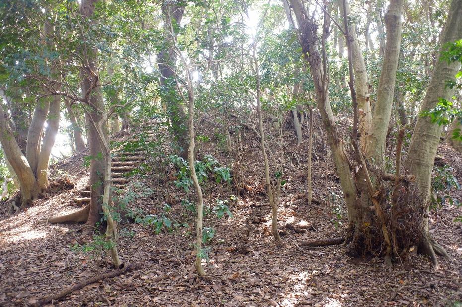柑子岳城