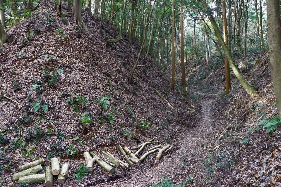 小幡城
