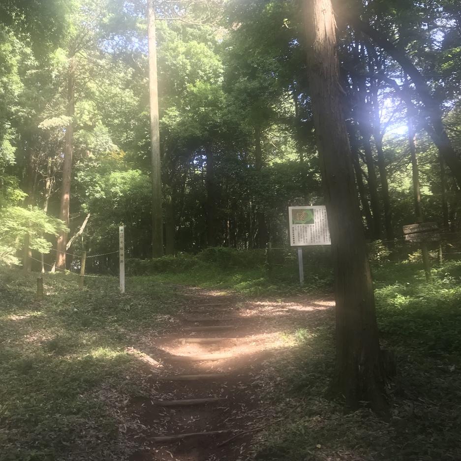 小幡城