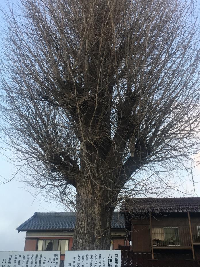 八神城