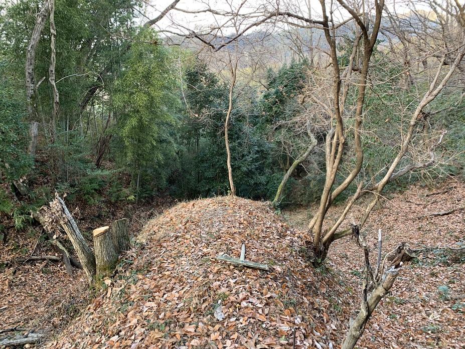 鹿背山城