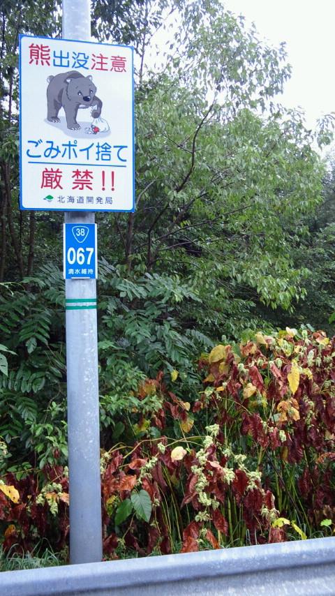 新内チャシ