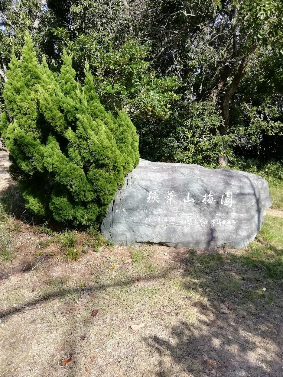 弥勒寺山城