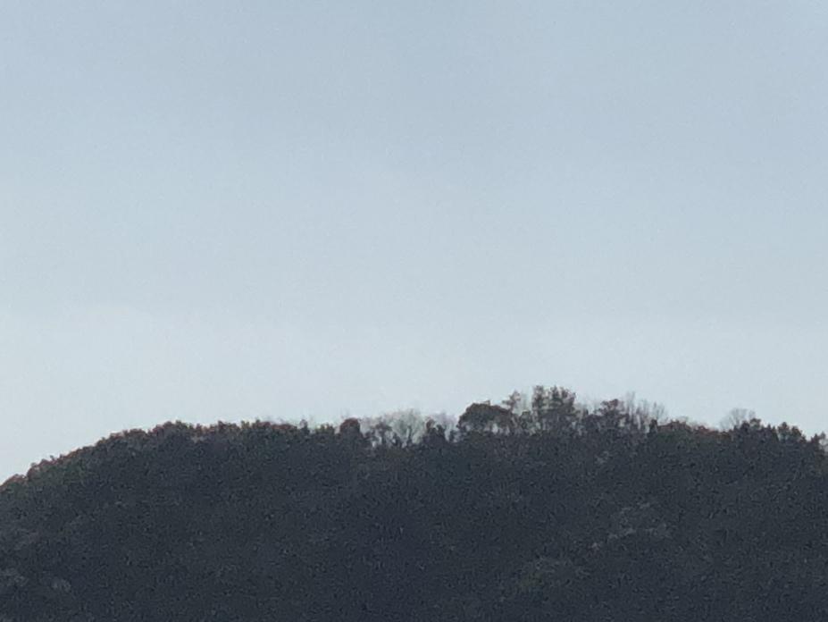 土佐泊城