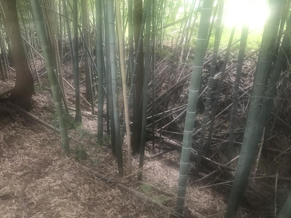 石神城