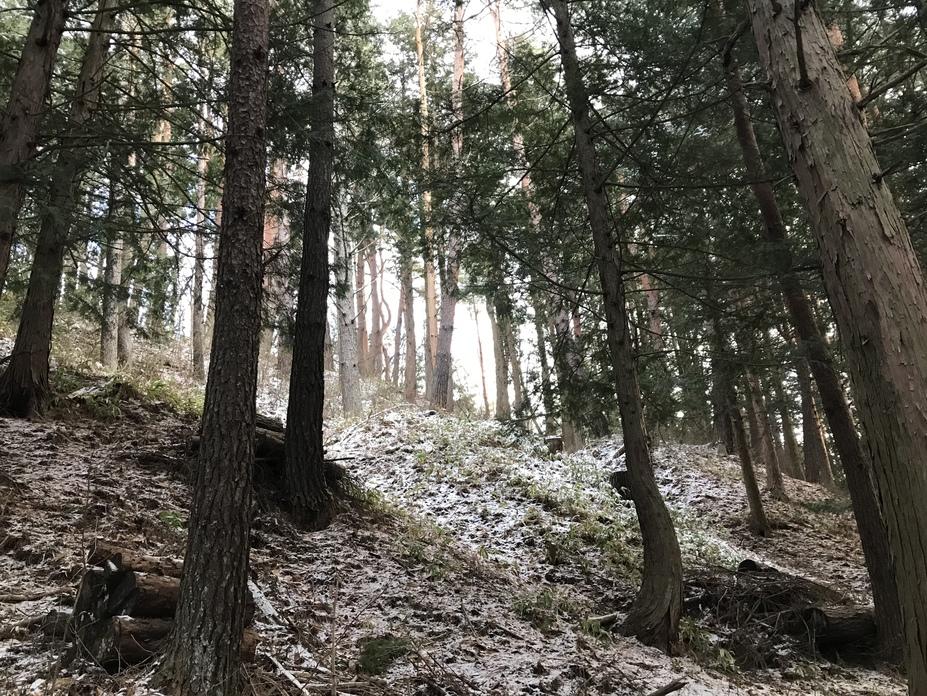 武居城