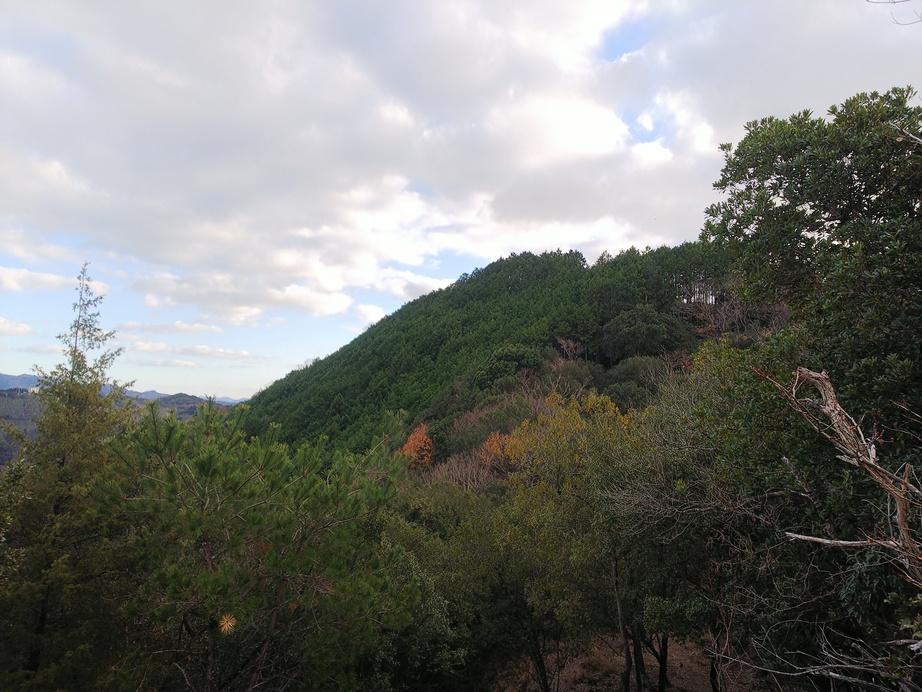 平須賀城