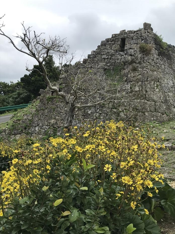 中城城