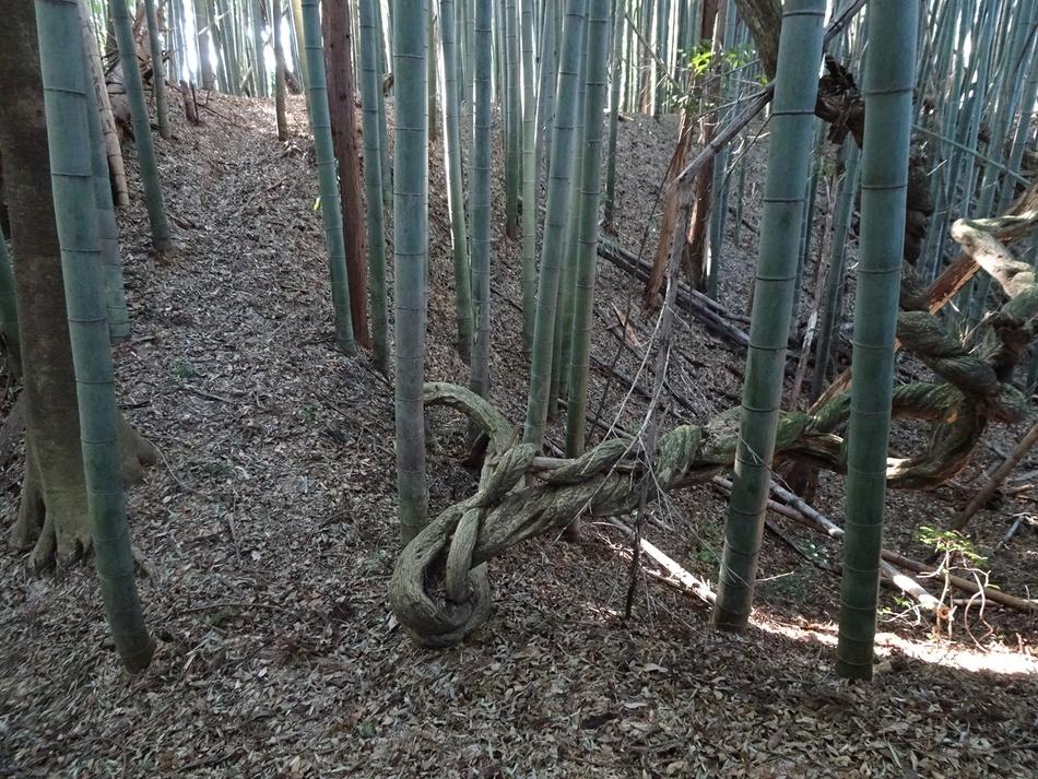 犬飼城