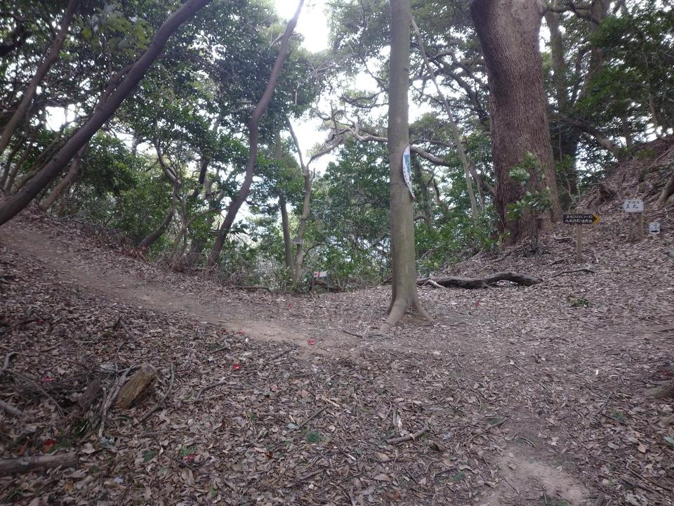 許斐山城
