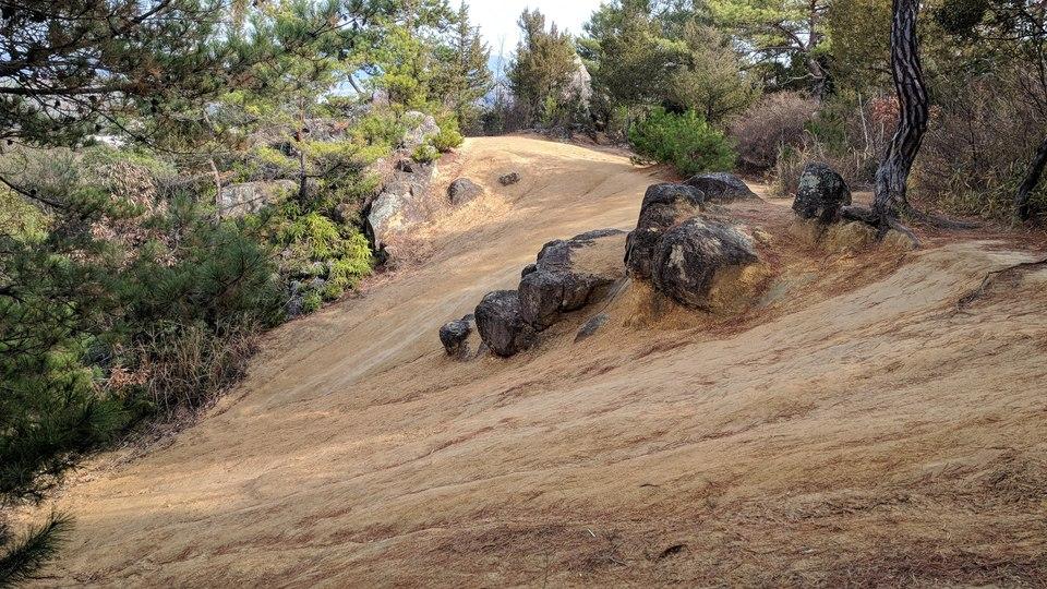 富山城