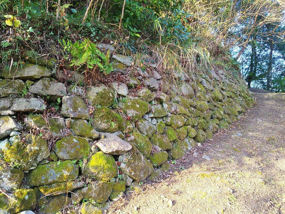 蒲原城