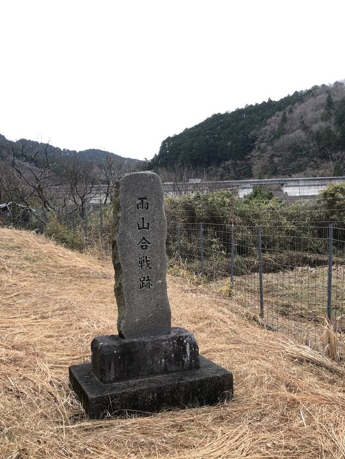 雨山城