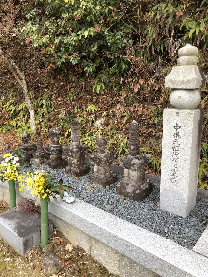 箱柳城