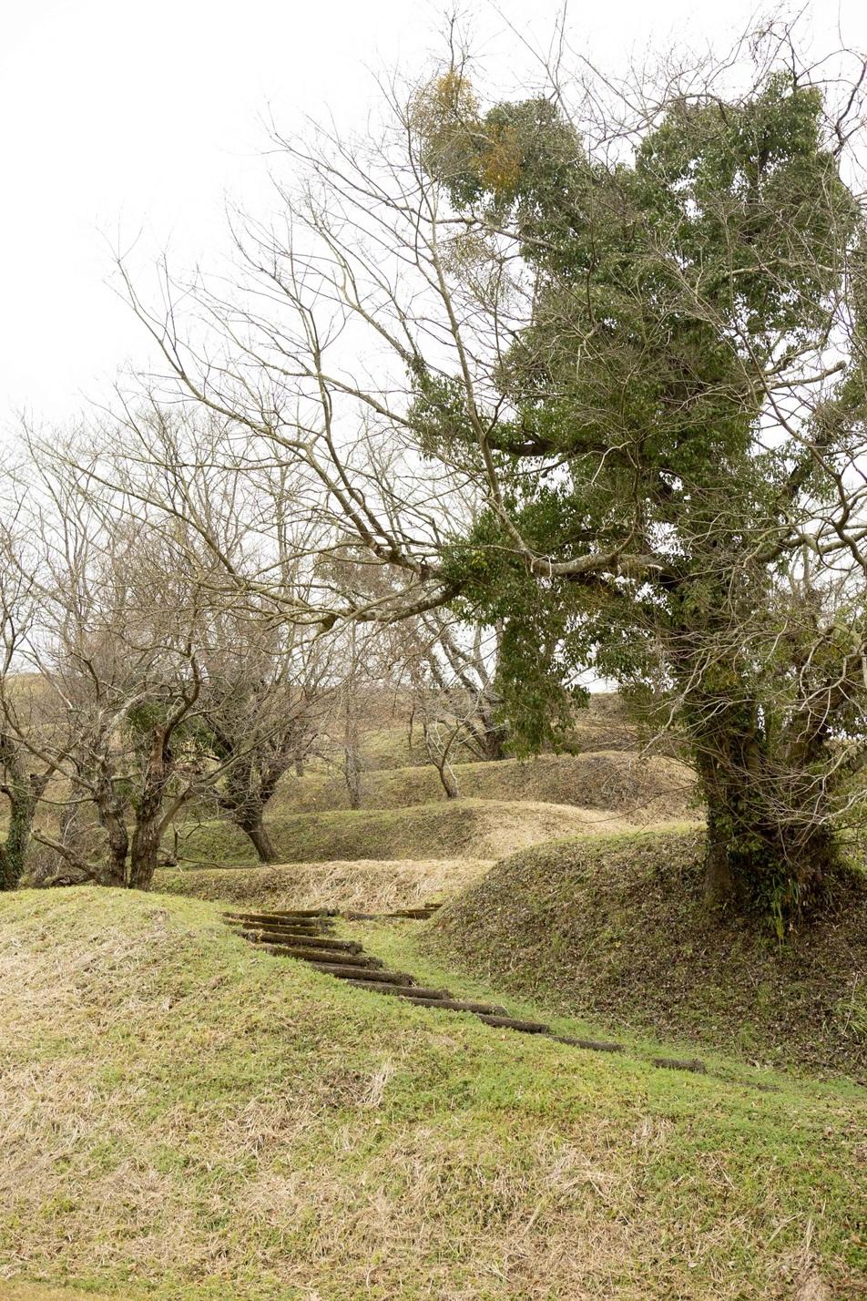 田中城